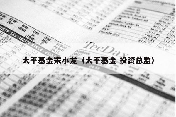 太平基金宋小龙（太平基金 投资总监）