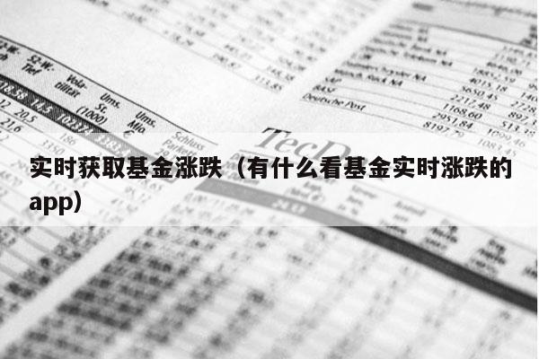 实时获取基金涨跌（有什么看基金实时涨跌的app）