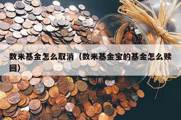 数米基金怎么取消（数米基金宝的基金怎么赎回）