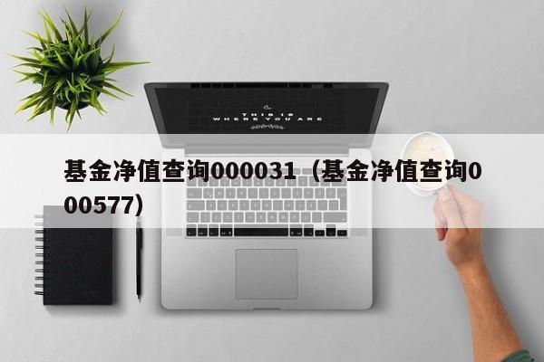 基金净值查询000031（基金净值查询000577）