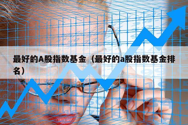 最好的A股指数基金（最好的a股指数基金排名）