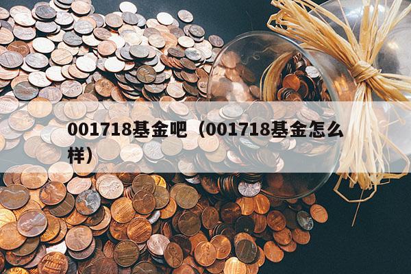 001718基金吧（001718基金怎么样）