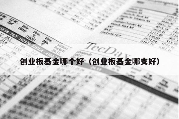 创业板基金哪个好（创业板基金哪支好）