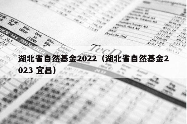 湖北省自然基金2022（湖北省自然基金2023 宜昌）