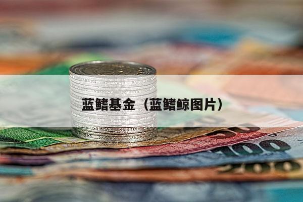 蓝鳍基金（蓝鳍鲸图片）