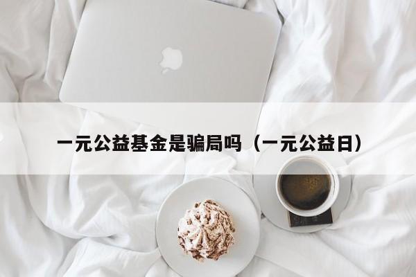 一元公益基金是骗局吗（一元公益日）