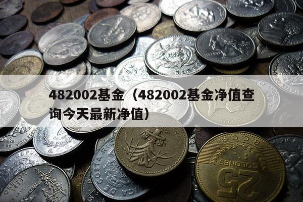 482002基金（482002基金净值查询今天最新净值）