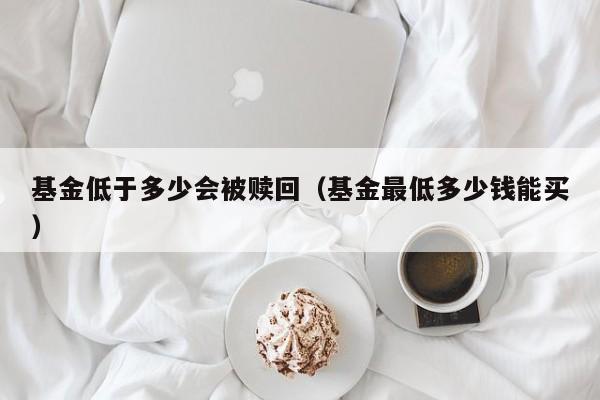 基金低于多少会被赎回（基金最低多少钱能买）