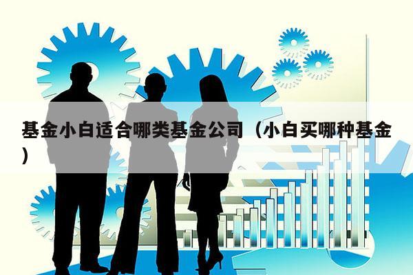 基金小白适合哪类基金公司（小白买哪种基金）