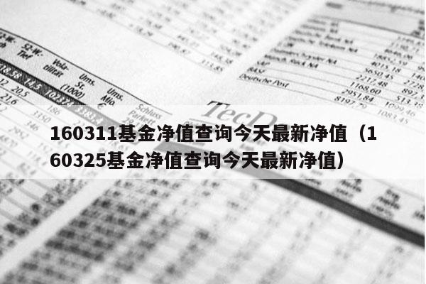 160311基金净值查询今天最新净值（160325基金净值查询今天最新净值）