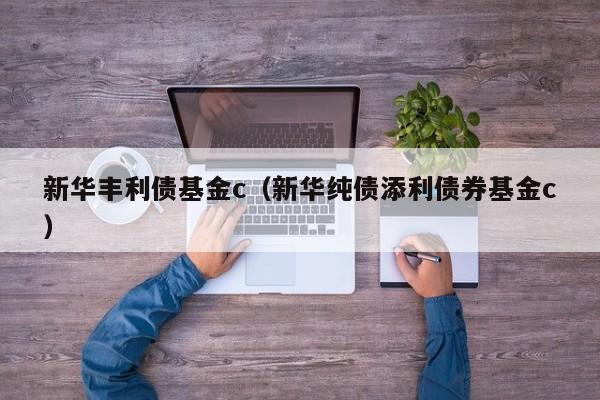 新华丰利债基金c（新华纯债添利债券基金c）