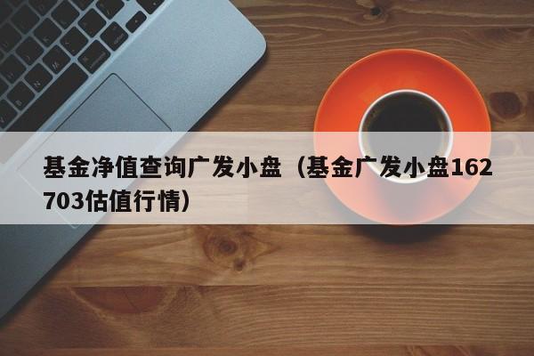 基金净值查询广发小盘（基金广发小盘162703估值行情）
