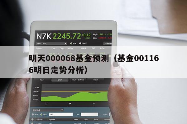 明天000068基金预测（基金001166明日走势分析）
