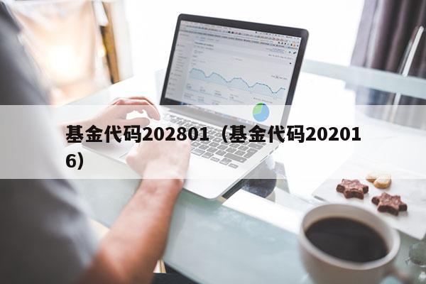 基金代码202801（基金代码202016）