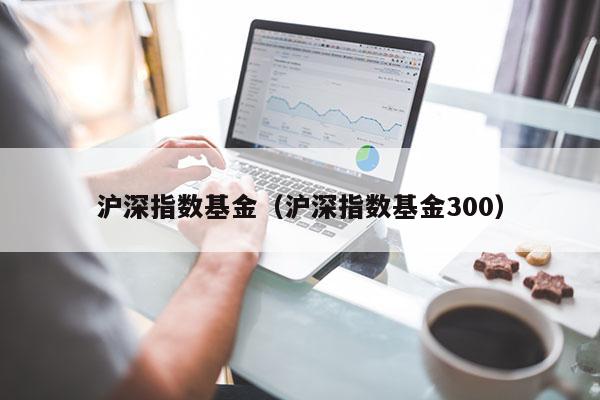 沪深指数基金（沪深指数基金300）