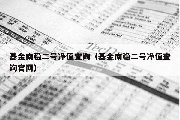 基金南稳二号净值查询（基金南稳二号净值查询官网）