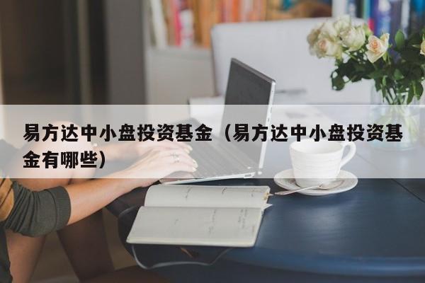 易方达中小盘投资基金（易方达中小盘投资基金有哪些）