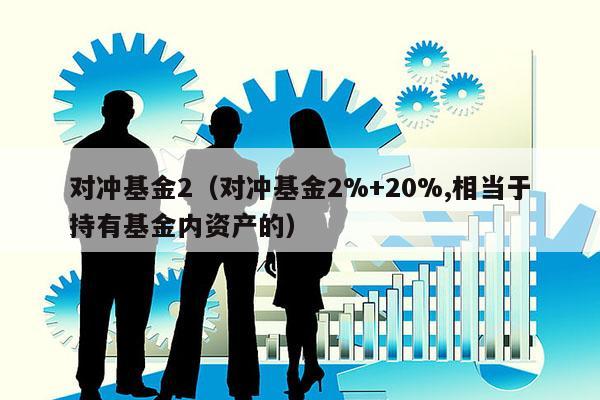 对冲基金2（对冲基金2%+20%,相当于持有基金内资产的）