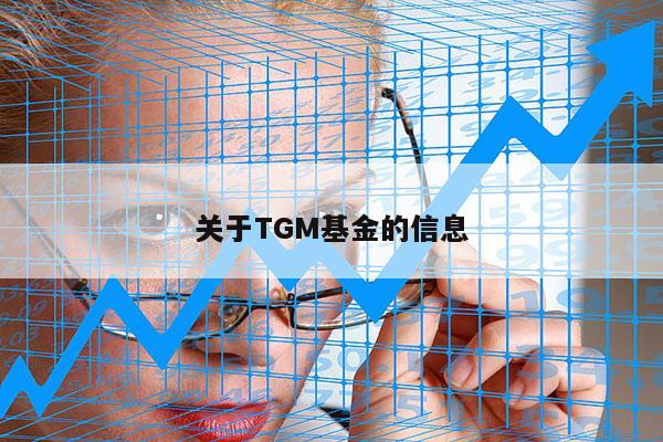 关于TGM基金的信息