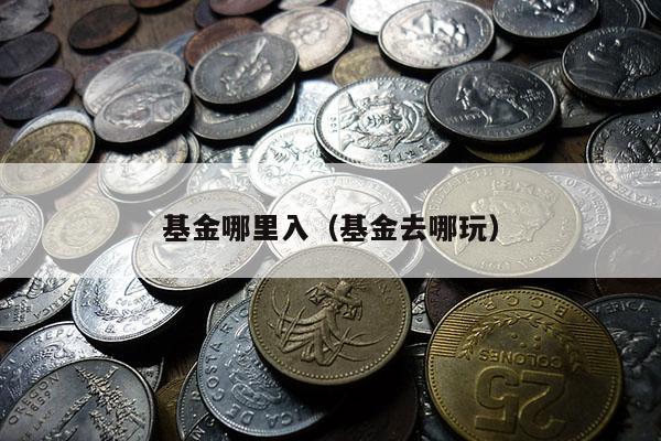 基金哪里入（基金去哪玩）