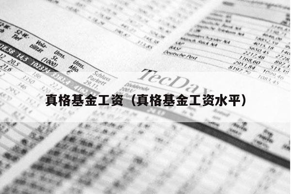 真格基金工资（真格基金工资水平）