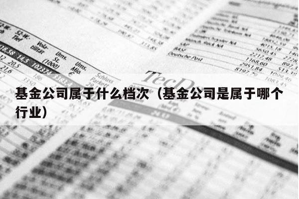 基金公司属于什么档次（基金公司是属于哪个行业）