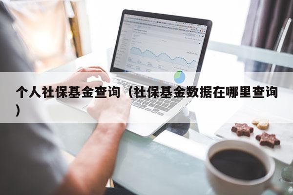 个人社保基金查询（社保基金数据在哪里查询）