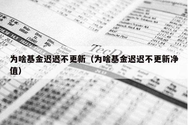 为啥基金迟迟不更新（为啥基金迟迟不更新净值）