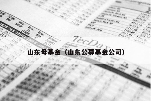 山东母基金（山东公募基金公司）