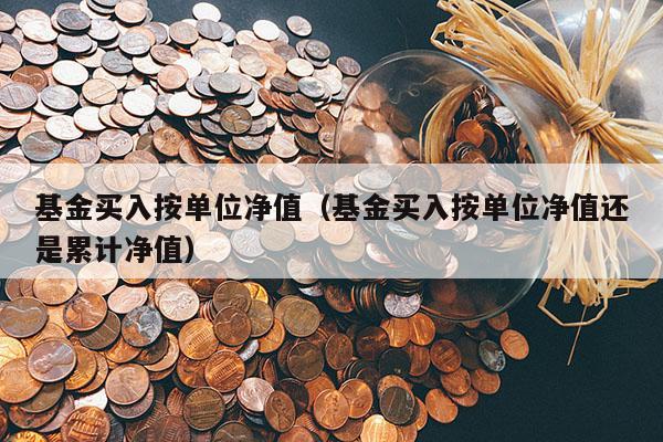 基金买入按单位净值（基金买入按单位净值还是累计净值）