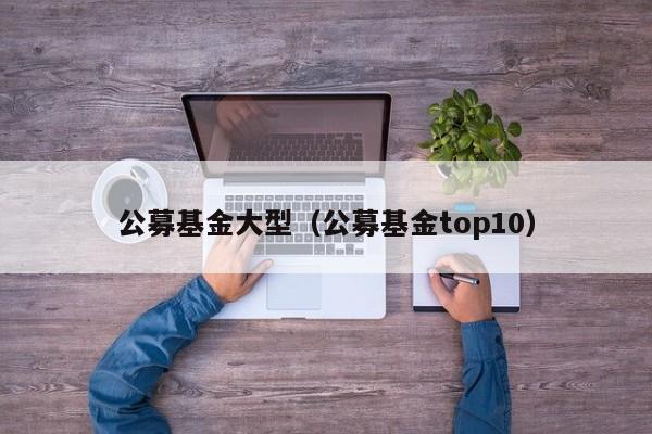 公募基金大型（公募基金top10）