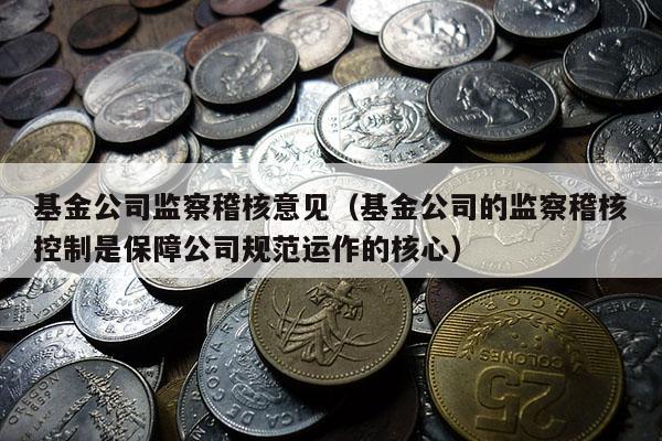 基金公司监察稽核意见（基金公司的监察稽核控制是保障公司规范运作的核心）