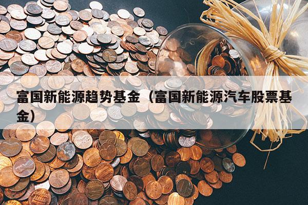 富国新能源趋势基金（富国新能源汽车股票基金）