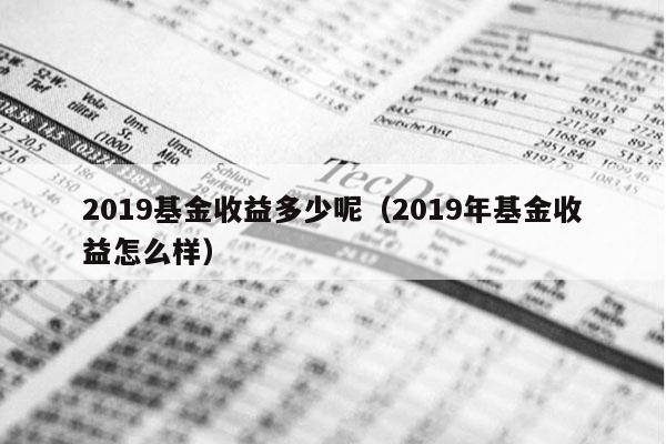 2019基金收益多少呢（2019年基金收益怎么样）