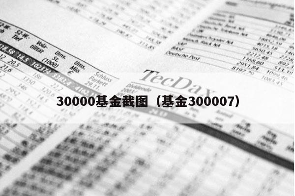 30000基金截图（基金300007）