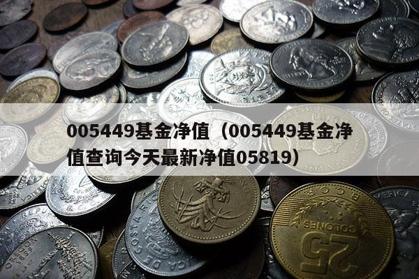 005449基金净值（005449基金净值查询今天最新净值05819）