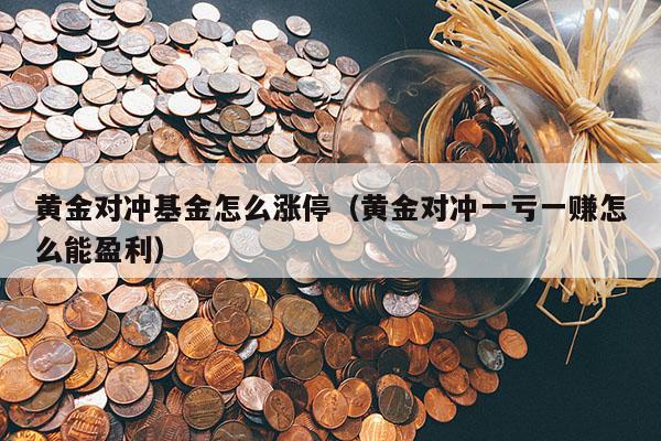 黄金对冲基金怎么涨停（黄金对冲一亏一赚怎么能盈利）