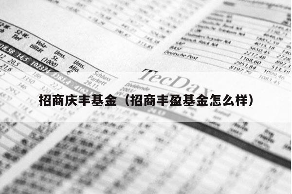 招商庆丰基金（招商丰盈基金怎么样）