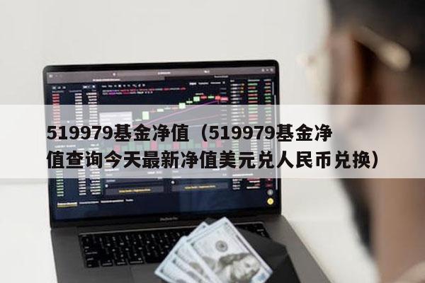 519979基金净值（519979基金净值查询今天最新净值美元兑人民币兑换）