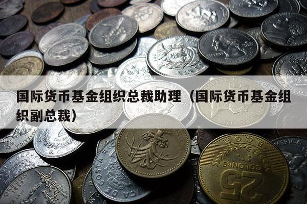 国际货币基金组织总裁助理（国际货币基金组织副总裁）