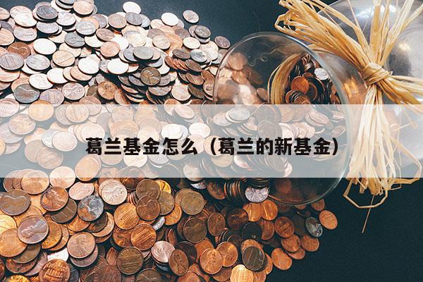 葛兰基金怎么（葛兰的新基金）