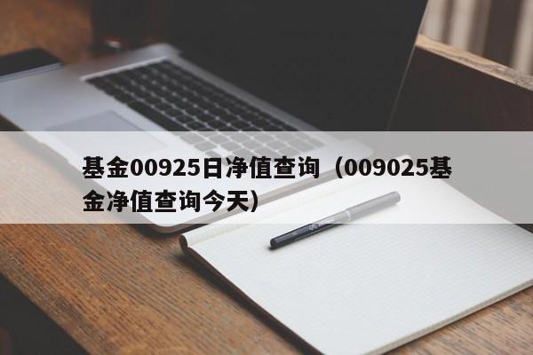 基金00925日净值查询（009025基金净值查询今天）