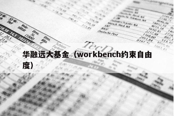 华融远大基金（workbench约束自由度）