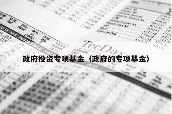 政府投资专项基金（政府的专项基金）