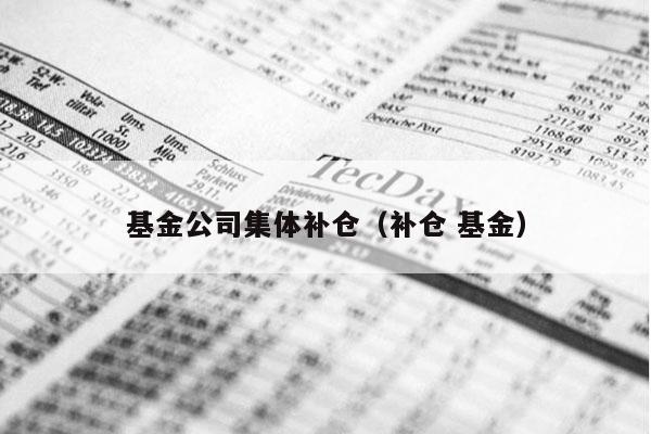 基金公司集体补仓（补仓 基金）