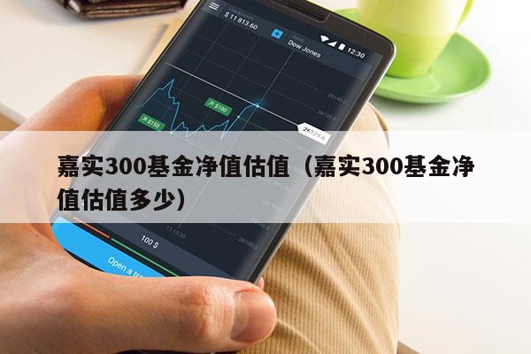 嘉实300基金净值估值（嘉实300基金净值估值多少）