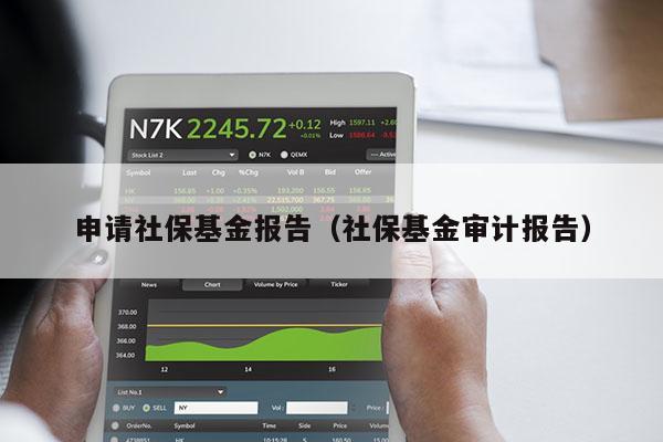 申请社保基金报告（社保基金审计报告）