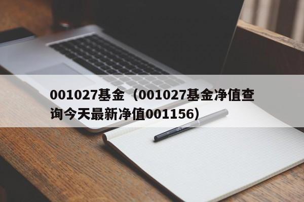 001027基金（001027基金净值查询今天最新净值001156）