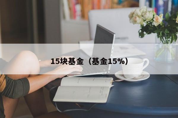 15块基金（基金15%）