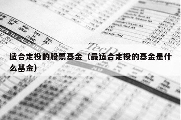 适合定投的股票基金（最适合定投的基金是什么基金）